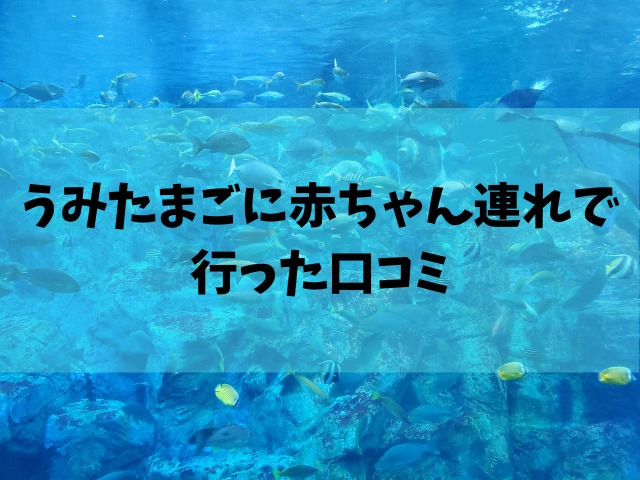 うみたまごに赤ちゃん連れで行った口コミ あそびーちの料金 服装は べびまに